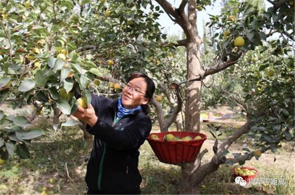 超5500亿地方债发行大幕拉开，财政新动向引关注